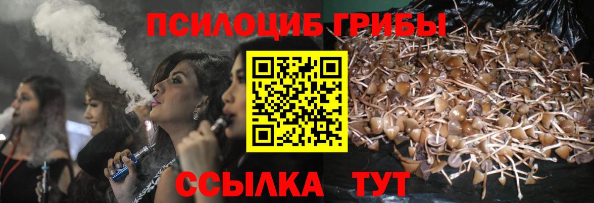 Галлюциногенные грибы мухоморы Южно-Сахалинск